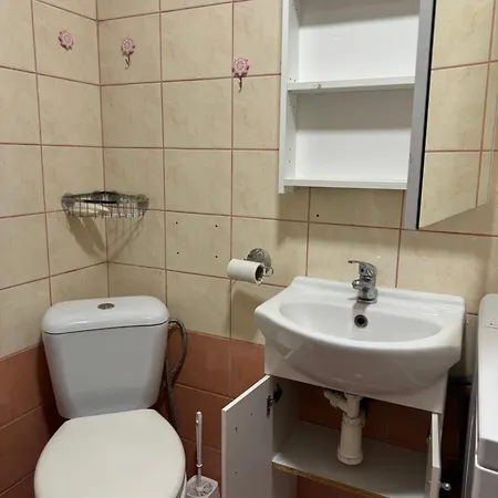 Town House Svermova Apartment Trencin