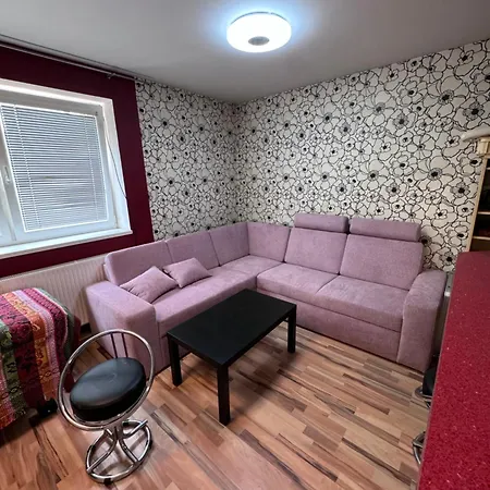 Town House Svermova *