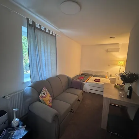 Apartment Town House Svermova