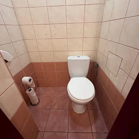 Town House Svermova Apartment Trencin