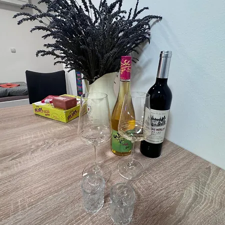 Town House Svermova Apartment Trencin