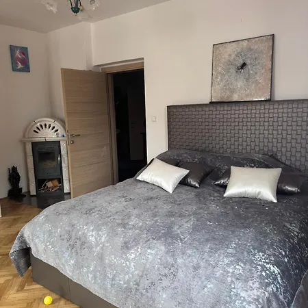 Town House Svermova *